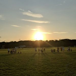 Meet your Posher, Carter